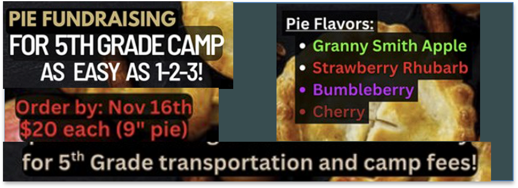 Support 5th Grade Camp!